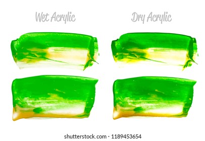 Vector yellow and green paint smear stroke stain set. Abstract acrylic textured art illustration. Acrilyc Texture Paint Stain Illustration. Hand drawn brush strokes vector elements. Acrilyc strokes.