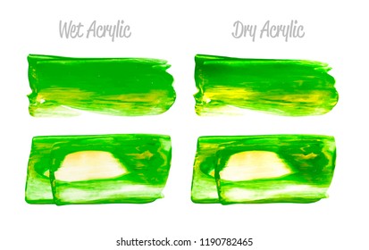 Vector yellow and green paint smear stroke stain set. Abstract acrylic textured art illustration. Acrilyc Texture Paint Stain Illustration. Hand drawn brush strokes vector elements. Acrilyc strokes.