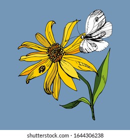 Vector yellow Jerusalem artichoke flower with a ladybug on a petal and a fluttering butterfly, against a Faded Denim color background, summer floral print for decorating women and children’s clothes