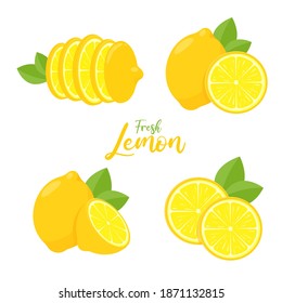 Vector yellow lemon fruit with sour taste for cooking and squeezing to make healthy lemonade.