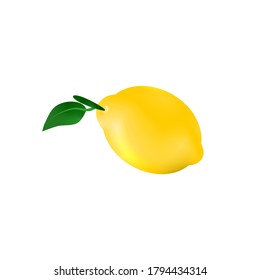 Vector Yellow Lemon And Green Leaves Drawing On White