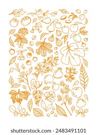 Vector yellow linear illustration of different Garden Fruits, leaves, tree branches on white