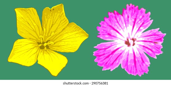 vector yellow and magenta flower on green background, isolated illustration