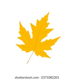 Vector yellow maple leaf. Isolated on a white background. Flat style	