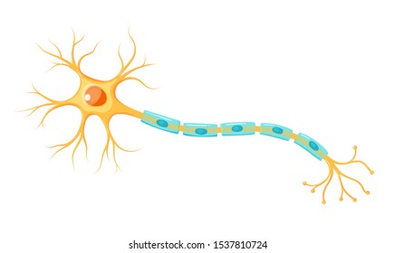 Vector yellow neuron isolated on white background. Educational illustration svg