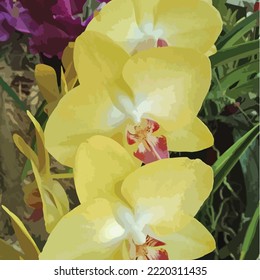 Vektorgelbe Orchideenvorlage