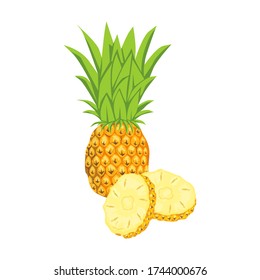 piña amarilla vectorial con hojas verdes sobre fondo blanco