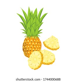 vector yellow pineapple with green leaves on white background