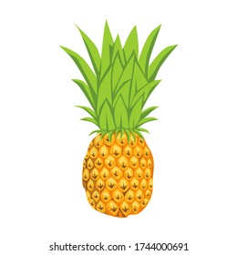 vector yellow pineapple with green leaves on white background