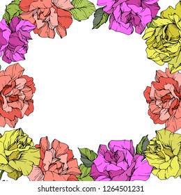 Vector Yellow, pink and coral Rose. Floral botanical flower. Wild spring leaf wildflower isolated. Engraved ink art. Frame border ornament square.