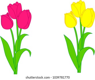 Vector yellow and pink tulips