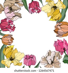 Vector Yellow, pink and white tulip engraved ink art. Floral botanical flower. Wild spring leaf wildflower isolated. Frame border ornament square.