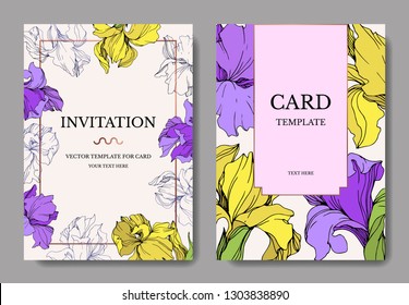Vector Yellow and purple iris floral botanical flower. Wild spring leaf isolated. Engraved ink art. Wedding background card floral decorative border. Elegant card illustration graphic set banner.