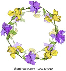 Vector Yellow and purple iris floral botanical flower. Wild spring leaf wildflower isolated. Engraved ink art. Frame border ornament square.