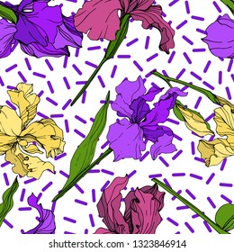 Vector Yellow, purple and maroon Iris floral botanical flower. Wild spring leaf wildflower isolated. Engraved ink art. Seamless background pattern. Fabric wallpaper print texture.