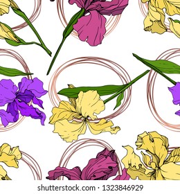 Vector Yellow, purple and maroon Iris floral botanical flower. Wild spring leaf wildflower isolated. Engraved ink art. Seamless background pattern. Fabric wallpaper print texture.