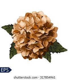 Vector yellow realistic hydrangea, lavender. Illustration of flowers. Vintage. Can be used for gift wrapping paper. 