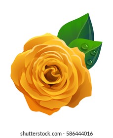 Vector yellow rose with fresh leaves isolated on white background