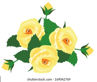 vector yellow roses bouquet