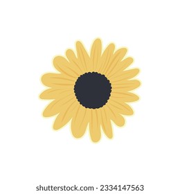 Girasol amarillo vectorial. Girasol Aislado sobre fondo blanco. Flor blanca