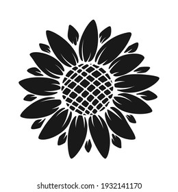 Vector yellow sunflower. Sunflower silhouette text frame Isolated on white background.