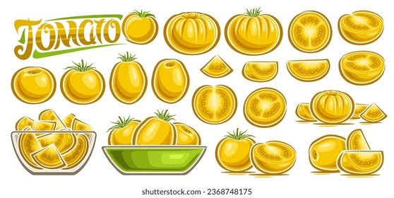 Conjunto de tomate amarillo vector, colección de dibujos animados recortados composiciones de vida con hojas verdes, tomates ovales jugosos crudos en recipientes de vidrio, grupo de verduras de cultivo de variedades y tomate de texto amarillo