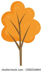 Vector yellow tree with golden leaves on branches, fall season. Thin brown trunk of forest or garden plant. Beautiful landscape of autumn park illustration. Isolated object on white background