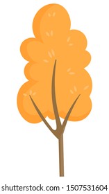 Vector yellow tree with golden leaves on branches, fall season. Thin brown trunk of forest or garden plant. Beautiful landscape of autumn park illustration. Isolated object on white background