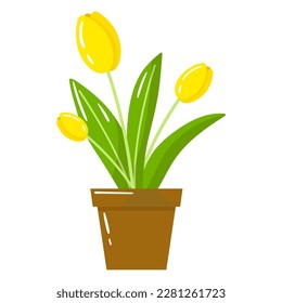 Flores de tulipanes amarillos vectoriales en la olla aisladas sobre fondo blanco. Ilustración de plantas de primavera