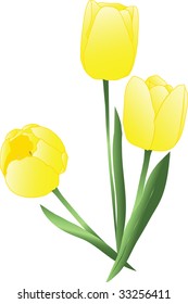 Vektorgelbe Tulpen auf Weiß