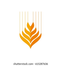  Vector yellow wheat in abstract shape
