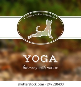 Vector yoga illustration. Yoga poster with a yoga pose. Poster for yoga studio or yoga class on a blurred nature background. Yoga card with a dog in Urdhva Mukha Svanasana. Healthy lifestyle.