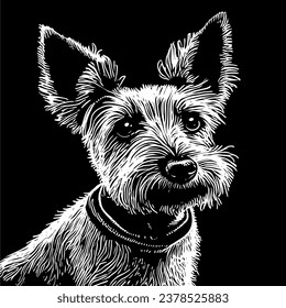 Vector yorkshire terrier dog hand drawn sketch illustration