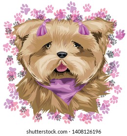 Vector yorkshire terrier. Vector dog yorkshire terrier. illustration of puppy yorkshire terrier with pink bows and fonde of black and purple pink dog tracks. Adorable puppy in vector