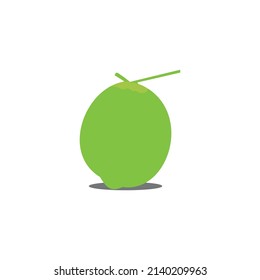 vector young coconut icon is green and wears a white background