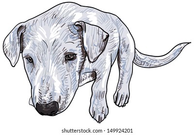 Vector of young dog see from top view.