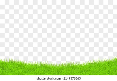 Vector Young Grass Png. Lawn, Grass On An Isolated Transparent Background. Background With Grass.