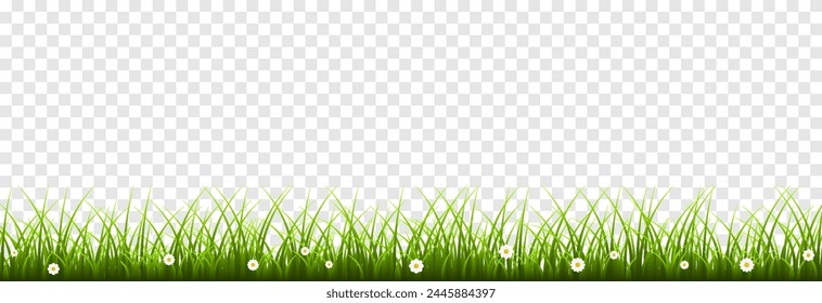 Vector young green grass. Grass png. Young grass, lawn. Grass borders.
