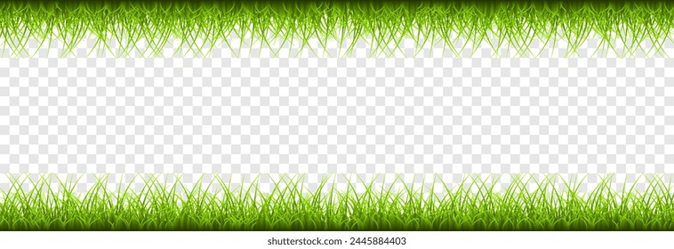 Vector young green grass. Grass png. Young grass, lawn. Grass borders.