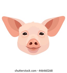 Vector young pig face icon
