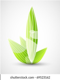 Vector young plant illustration