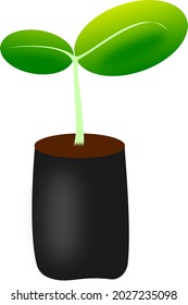 
Vector of young plants, seedlings in black bags to plant forests to reduce global warming.