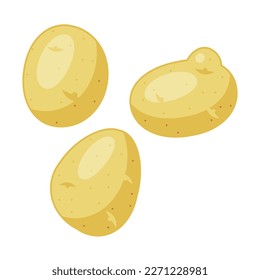 vector young potato isolated on white background