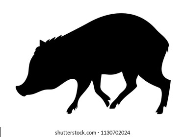 Boar Sow Male Female Pig Vector Stock Vector (royalty Free) 1904841598 