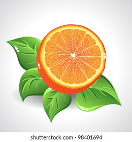 Vector yummy orange on white background with green leaves