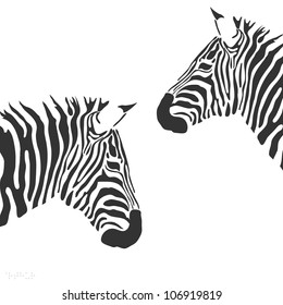 Vector zebra