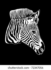 vector zebra