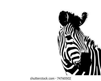 vector zebra