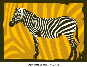 vector zebra