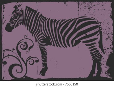 vector zebra